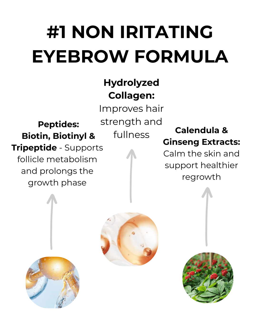 BrowCo Growth Serum